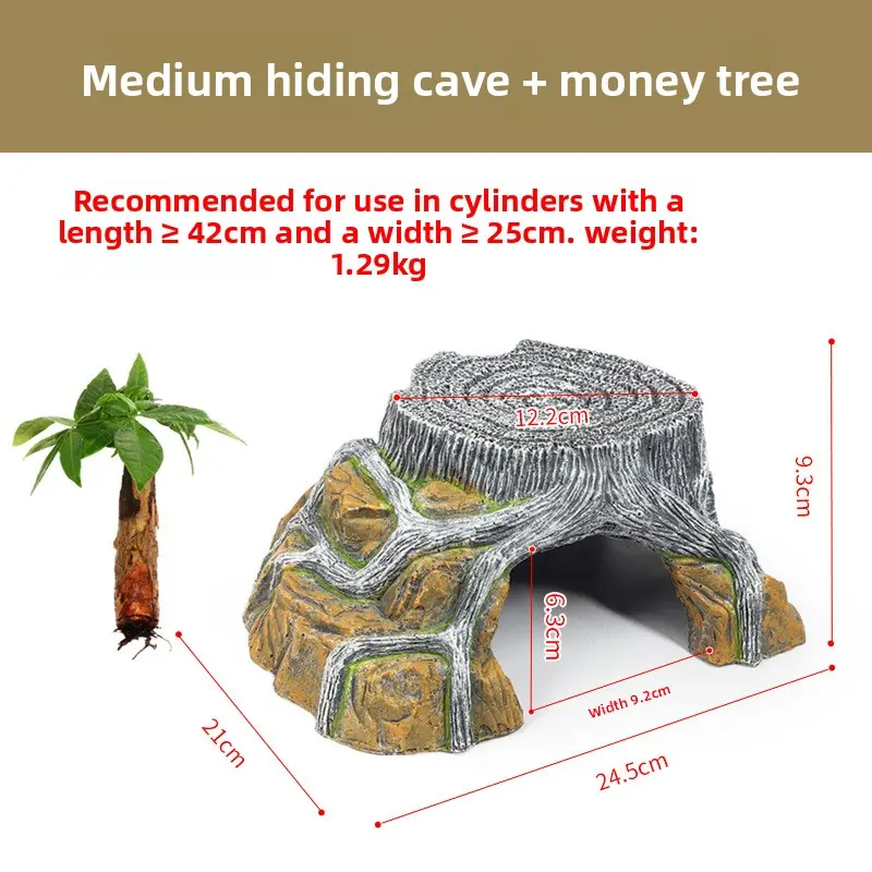 [Sun Platform] Medium Size + Money Tree