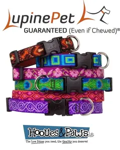 Lupine Original Designs Adjustable Dog Collar - Guaranteed Even if Chewed - Multiple Sizes