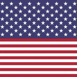 Stars & Stripes Patterned Adhesive Vinyl