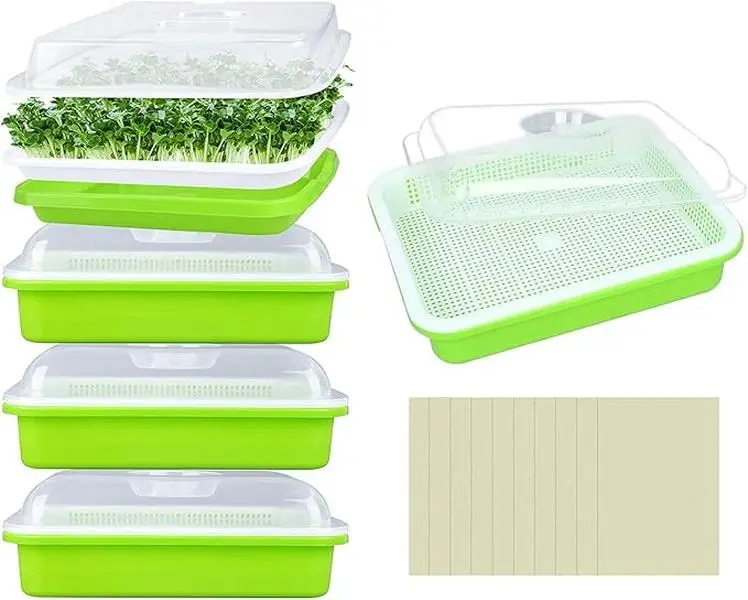 5 Pack Seed Sprouter Trays with Lids- Soil-Free Cultivation Germination Tray, BPA Free Micro Greens Growing Trays Seed Sprouting Trays Kit with Germinating Paper for Wheatgrass, Beans and More