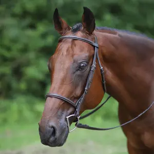 Premier Raised Fancy Stitched Bridle