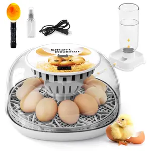Egg Incubator For Hatching Chicks  Automatic Turner Holds 12 Eggs Smart 360° Clear Window With Temperature Display Candler Small Poultry Chickens Ducks Quails