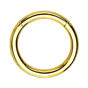 Gold PVD Hinged Stainless Steel Segment Hoop Ring