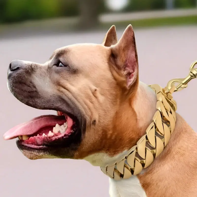 MAGNUS Large Collar Necklace with 32mm Dog Jewelry Chain Collar