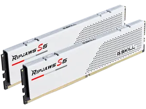 G.SKILL Ripjaws S5 Series 32GB (2 x 16GB) DDR5 5600 Desktop Memory Model F5-5600J3636C16GX2-RS5W