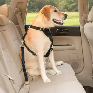 Seatbelt for pets