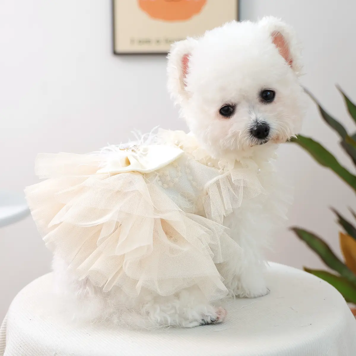 Muse Wedding Dress Pet Dog Small Breed Luxury Gown Teddy Bichon Pomeranian Chihuahua Yorkie Puppy Clothes, High-Quality Designer