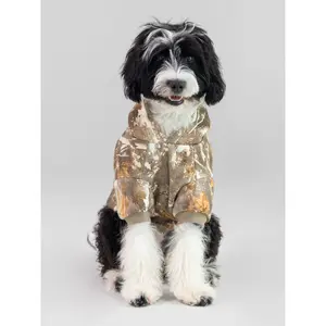 Comfrt Paws | Camo Hoodie
