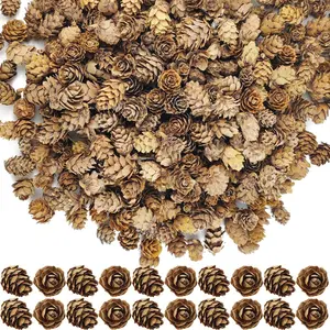 160 count 1.18"-1.97" Christmas  Mini Pine Cones-Thanksgiving Pine Cones Ornaments for DIY Crafts,  Decorations,Fall and Christmas,Wedding Decor