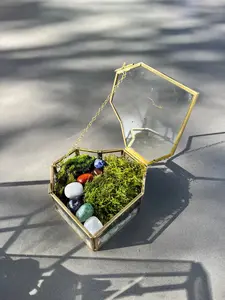 Fresh Moss Terrarium Kit, live plants and terrarium container, birthday gift, handmade gift, sympathy gift, date night w/