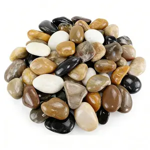 38 lbs Multicolor River Rocks, 2-3 inch Polished Pebbles - Decorative White Stones for Indoor/Outdoor Use, Perfect for Plants, Vase Fillers, Aquariums, Fish Tanks, and Garden Landscaping