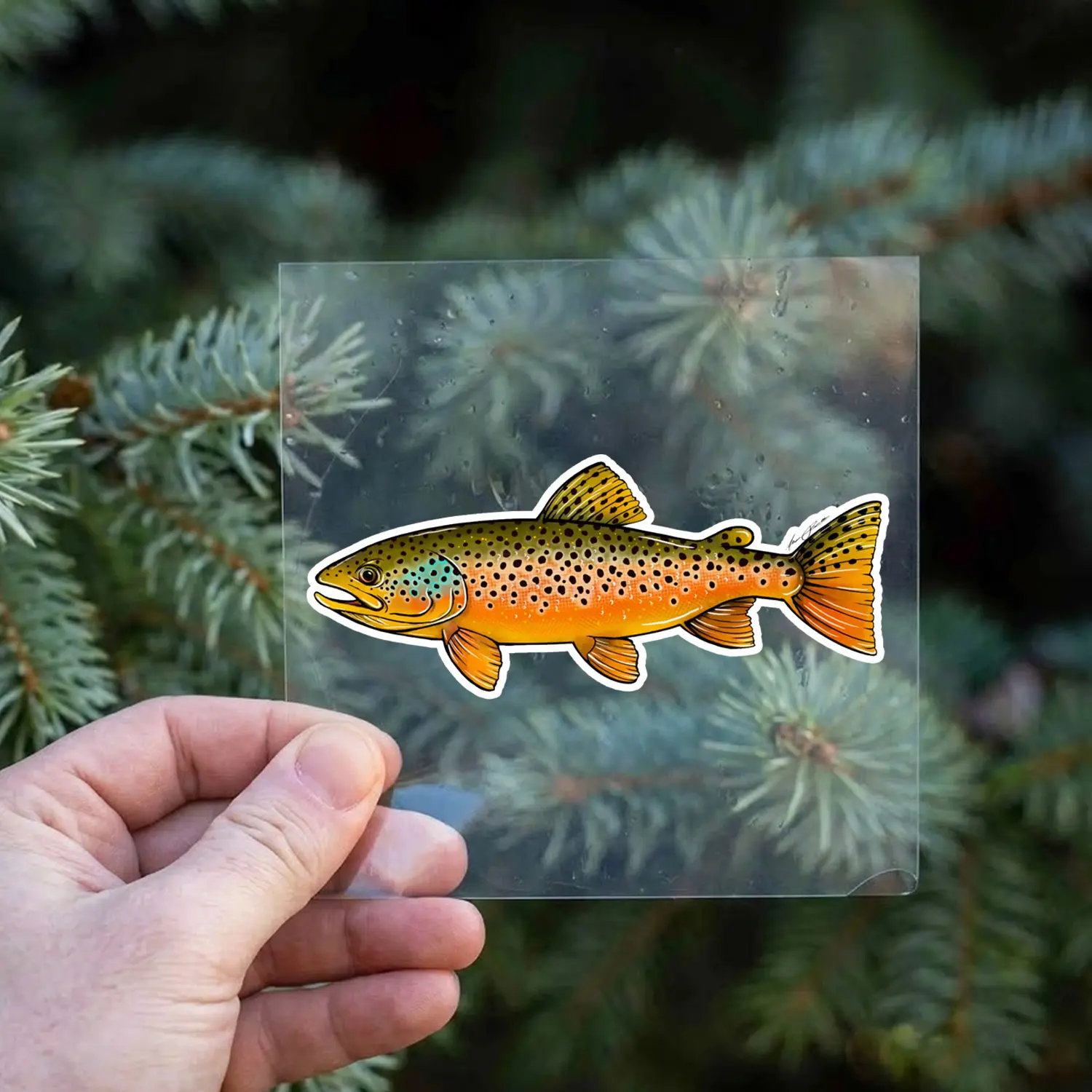 Brown Trout Fishing Vinyl Sticker, Waterproof Decal for Laptop, Car, Tumbler, Outdoor Fishing Gift