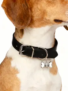 Professional Pet Collar Design: Exquisite, One of a Kind Bone Shape, Crafted with Comfortable Artificial Leather.Featuring a Range of Colors, Suitable for All Seasons.