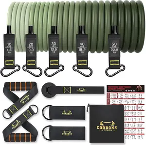 Resistance Bands Set - Workouts Bands for Men and Women, Exercise Bands with Handle, Door Anchor, Legs Ankle Straps, Elastic Bands for Physical Therapy, at Home Fitness, Strength Training Equipment