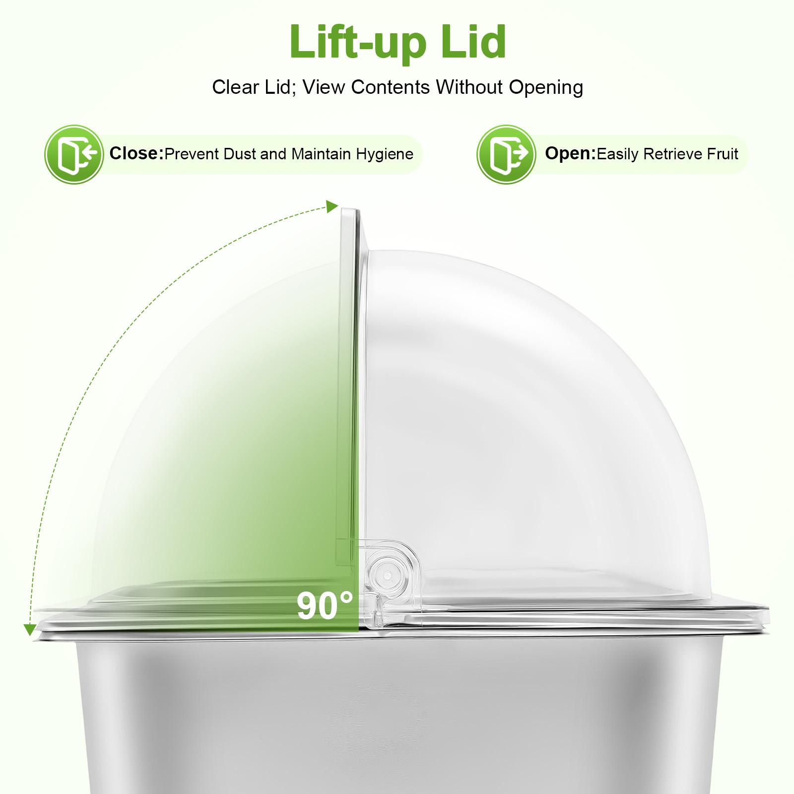 2 Pack 6 Compartment Food Serving Tray with Lid Spoons Tongs Ice Bags for Fruit Vegetable Snack Dessert Picnic Buffet Party