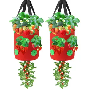 2 Packs Upside Down Planter, Garden Hanging Strawberry Tomato Grow Bag Potato Vegetable Planting Bag with Holes