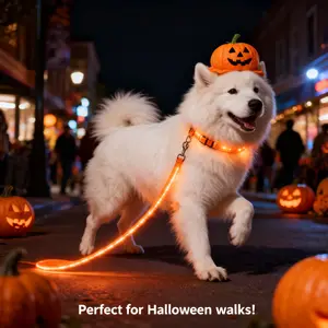 LED Pet Collar & Leash Set USB-Rechargeable Dog Harness Illuminated Pet Leash USB-rechargeable design with long-lasting battery life 3 Lighting Modes: Fast Flash, Slow Flash, and Steady Glow Durable nylon material—combining comfort with robust strength