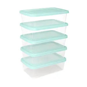 Sterilite Set of 5 Storage Boxes, Stackable Clear Plastic Storage Bins with Lids, Containers for Home Office and Garage, 6 Quarts, Mindful Mint