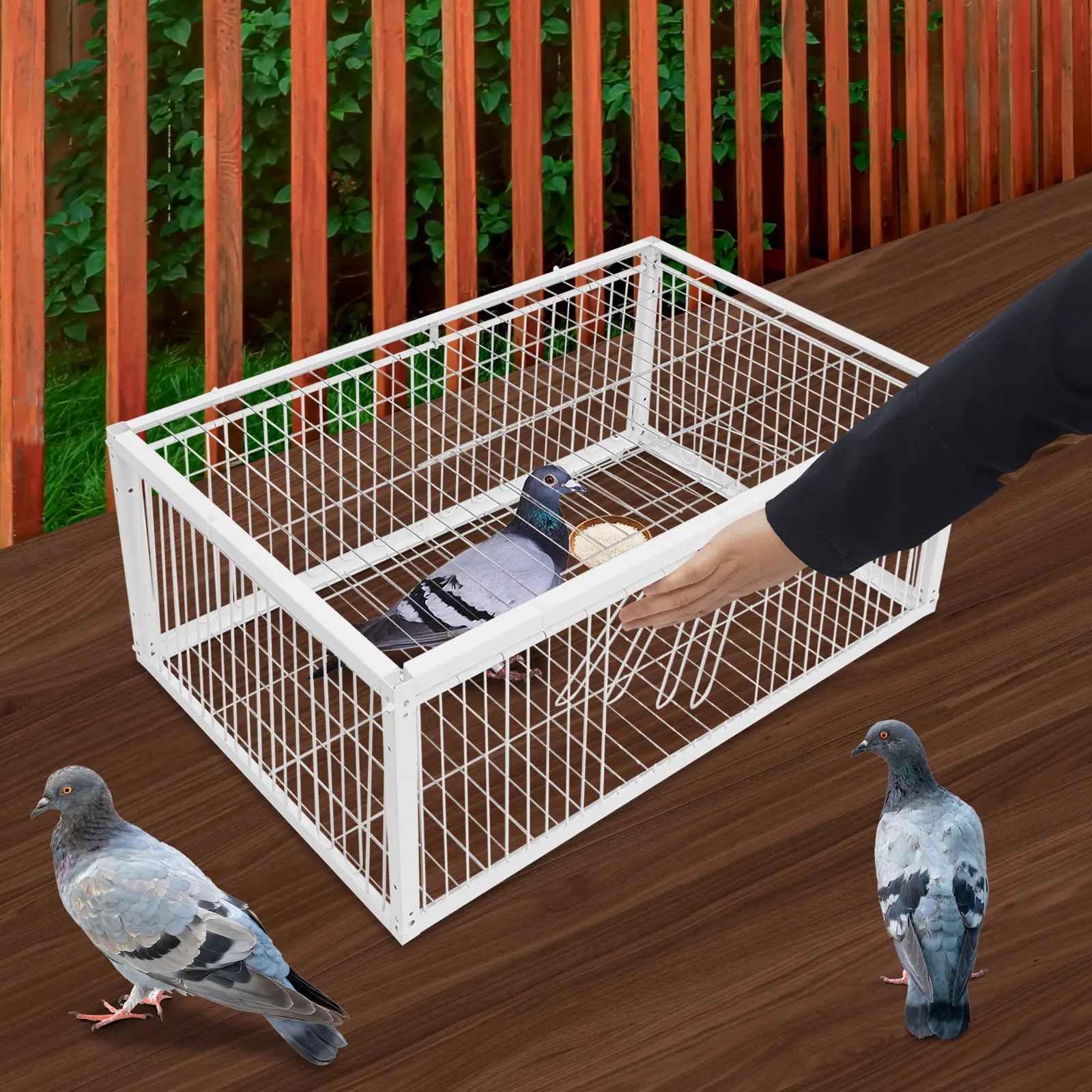 White Iron Pigeon Cage Humane Live Trap One-Way Anti-Escape Rustproof 4 Doors 360° Ventilated 15 Birds Capacity for Outdoor Yard Balcony Lawn Breeding