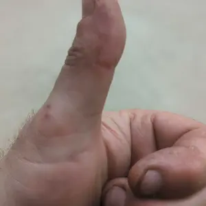 11 oz Summer Sausage Cheesy Original