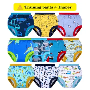 Toddler Potty Training Pants 10 Pack Reusable Cotton Training Underwear for Boys Soft Absorbent Daytime