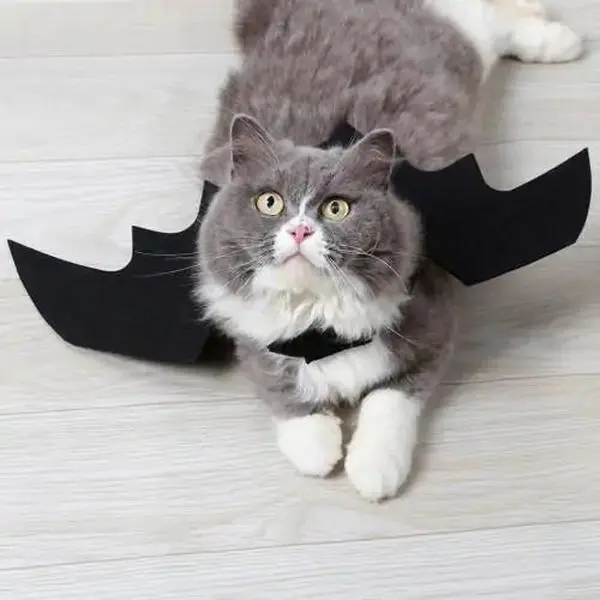 Halloween Cat Costume for Festive Parties and Celebrations