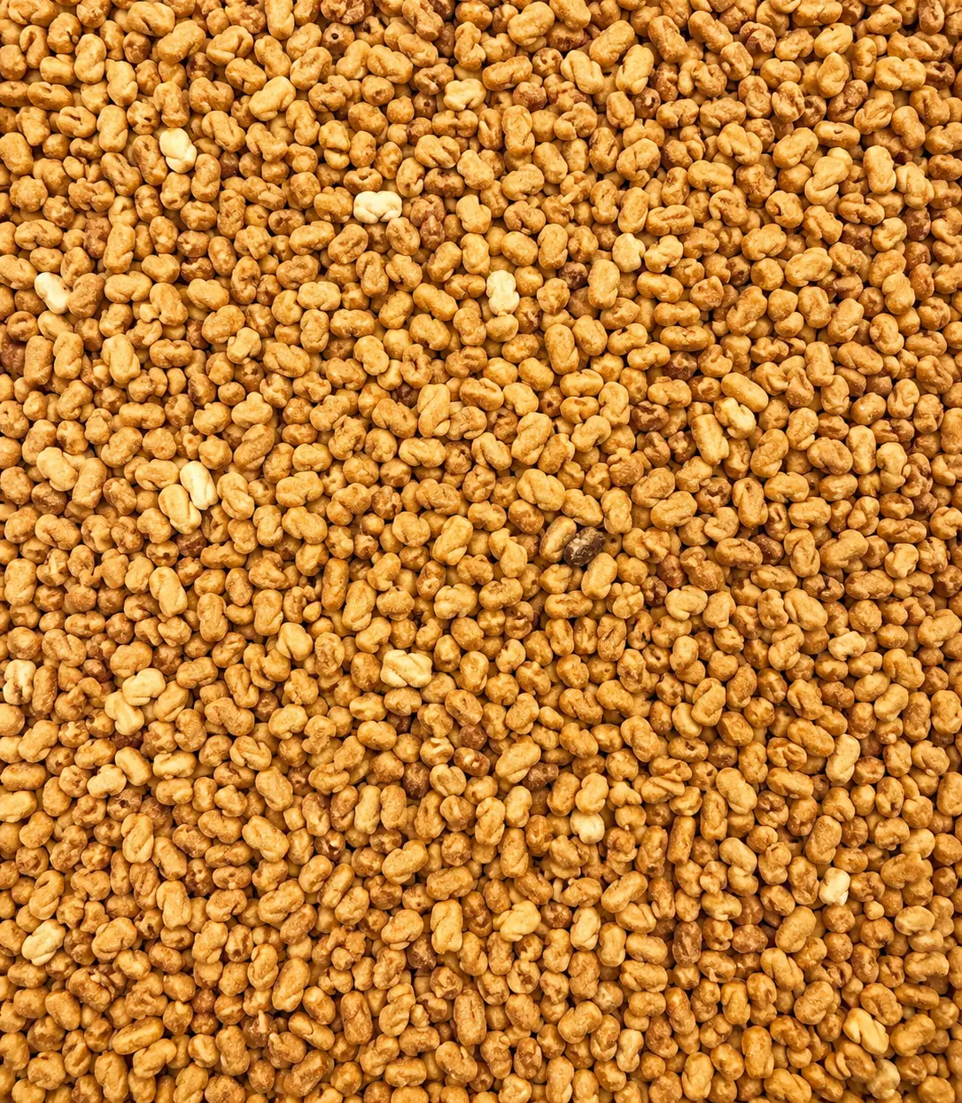 EverSnax Old Fashioned Butter Toffee Roasted Sweet Sunflower Kernels, 1 lb Sweet Snack