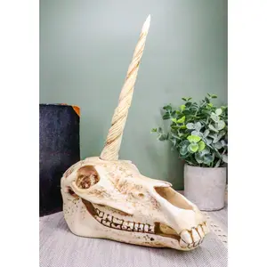 Ebros Fossil Unicorn Skull Rare Mythical Phantom Creature Skeleton Figurine