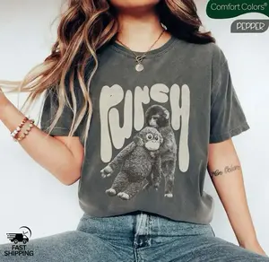 Monkey Punch Comfort Colors T-Shirt – Baby Monkey Holding Plush Sweatshirt – Viral Cute Monkey Hoodie