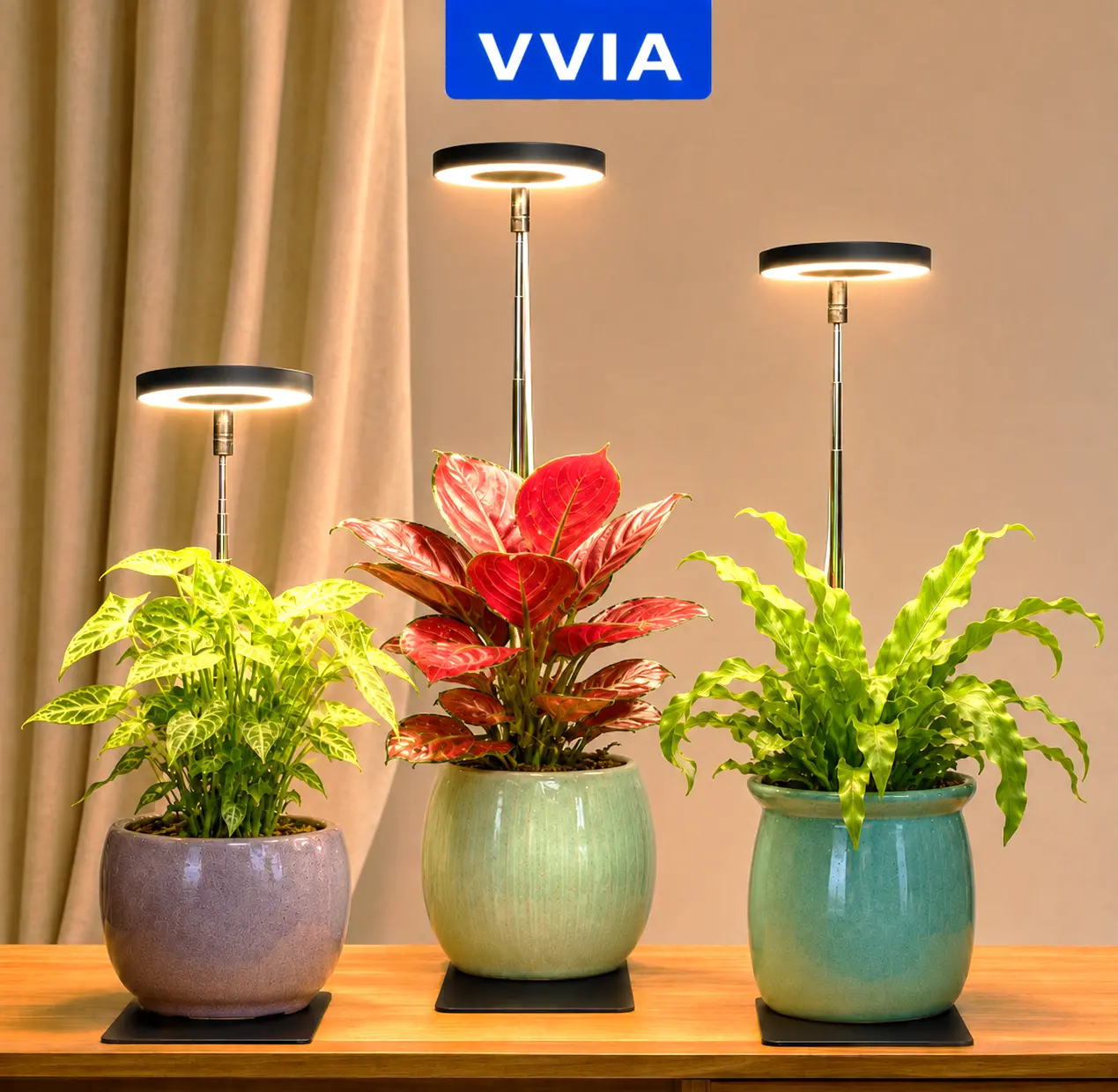 Full Spectrum LED Indoor Plant Grow Light - Detachable Adjustable Stand, 3-Level Dimmable, 3/9/12H Timer, USB Powered for Small Plant Growth, Usb Light