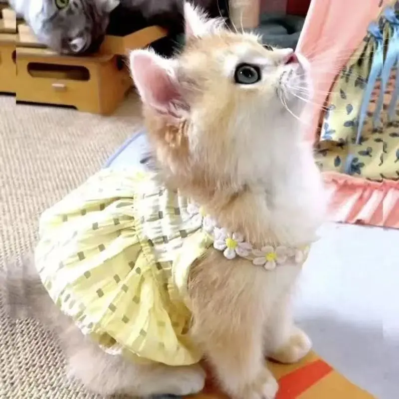 Bubble Check Cute Pet Princess Dress, Soft Daisy Decoration, Summer Cool Breathable, Suitable for Small Dogs and Cats, Lightweight Puppy Clothes, Kitten Clothes, Clothes