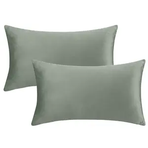 REGALWOVEN Pack of 2 Velvet Decorative Pillow Covers Modern Solid Pillow Covers for Couch Sofa Home