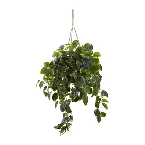 Pothos Hanging Basket UV Resistant by Nearly Natural