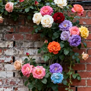 300PCS Premium Garden Seeds Pack – Easy-Grow Variety for Home Gardening, DIY Planting, and Outdoor Landscaping (Seeds Only, Not Live Plants)