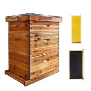 10-Frame Beehive Starter Kit, Wax-Coated Complete Beehive Kit 3 Layer Includes 20 Deep & 10 Medium Frames Super Bee Box with Beehive Frames and Waxed Foundation Sheet for Beginner Beekeepers