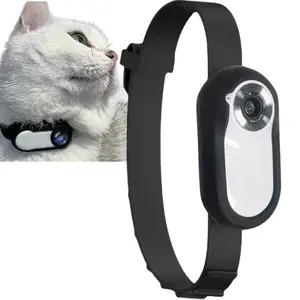 Kitty Cam 360 - Cat Pov -  Explore Life Through Your Cat's Eyes