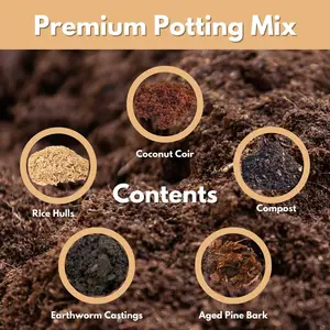 Premium Potting Mix- 6 Qt. Bag