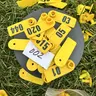 Number Sheep Goat Cattle Cow Deer Animal LIVESTOCK Ear Tag ID Applicator