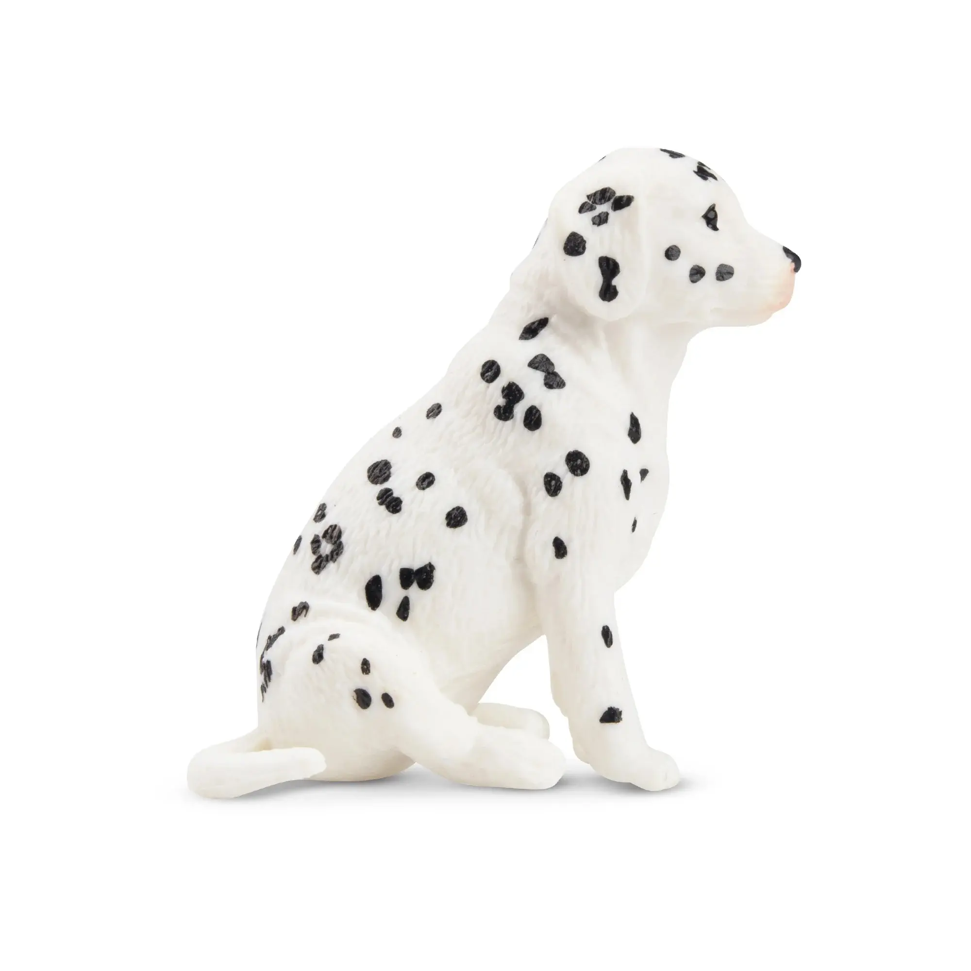 Toymany Hand-Painted Sitting Dalmatian Puppy Figurine – Realistic Dog Model, Perfect for Early Education, Montessori Sensory Play, Cake & Party Decorations, Desk & Home Décor, Thoughtful Gifts, and Collectible Figurine