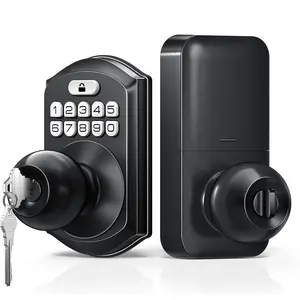 Keyless Entry Keypad Door Lock with Handle, Electronic Digital Smart Locks for Front Door, Easy to Install Keypad Deadbolt with Code for Bedroom, Anti-Peeping Password