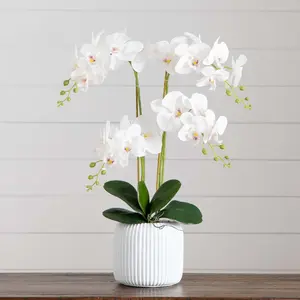 26” Artificial Phalaenopsis Orchid Arrangement in Decorative Ceramic Vase (Real Touch)
