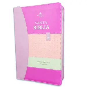 Biblia con Cierre Letra Gigante Manual 14 puntos RV1960 imit piel tricolor lila/rosa/gris con índice