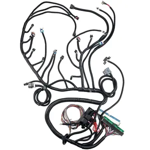LS Swap Harness,Engine Wiring Harness Professional Standalone Wiring Harness with 4L60E Transmission Drive by Wire, Compatible with DBW LS3 Engines 4.8 5.3 6.0 2003 2004 2005 2006 2007