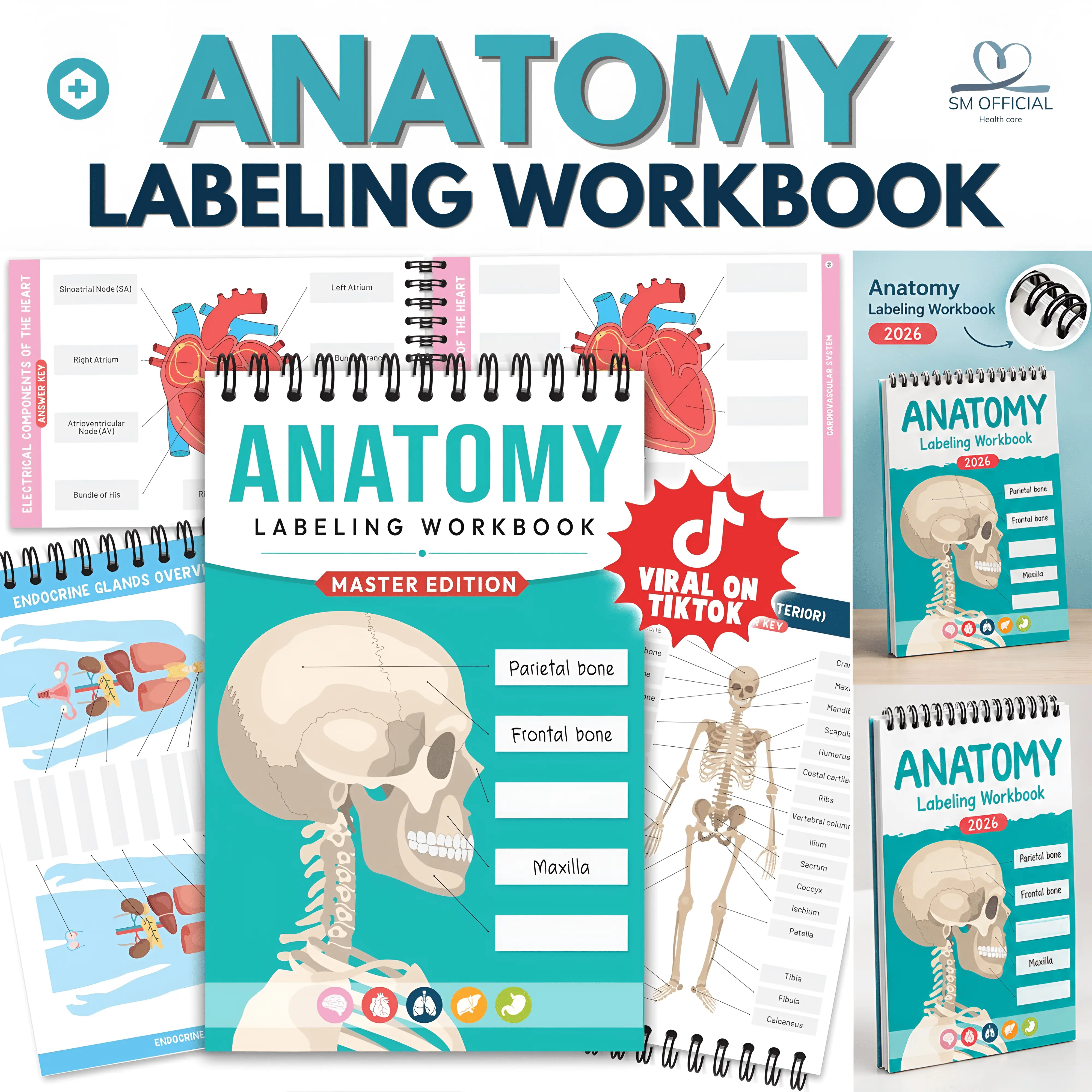 Anatomy Labeling Workbook, Dry Erase Anatomy & Physiology Study Book, 198 Laminated Pages with Answer Keys for Nursing & Medical Students