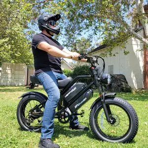 HappyRun G70 2000W Dual Battery Fast Electric Cargo Bike for Sale