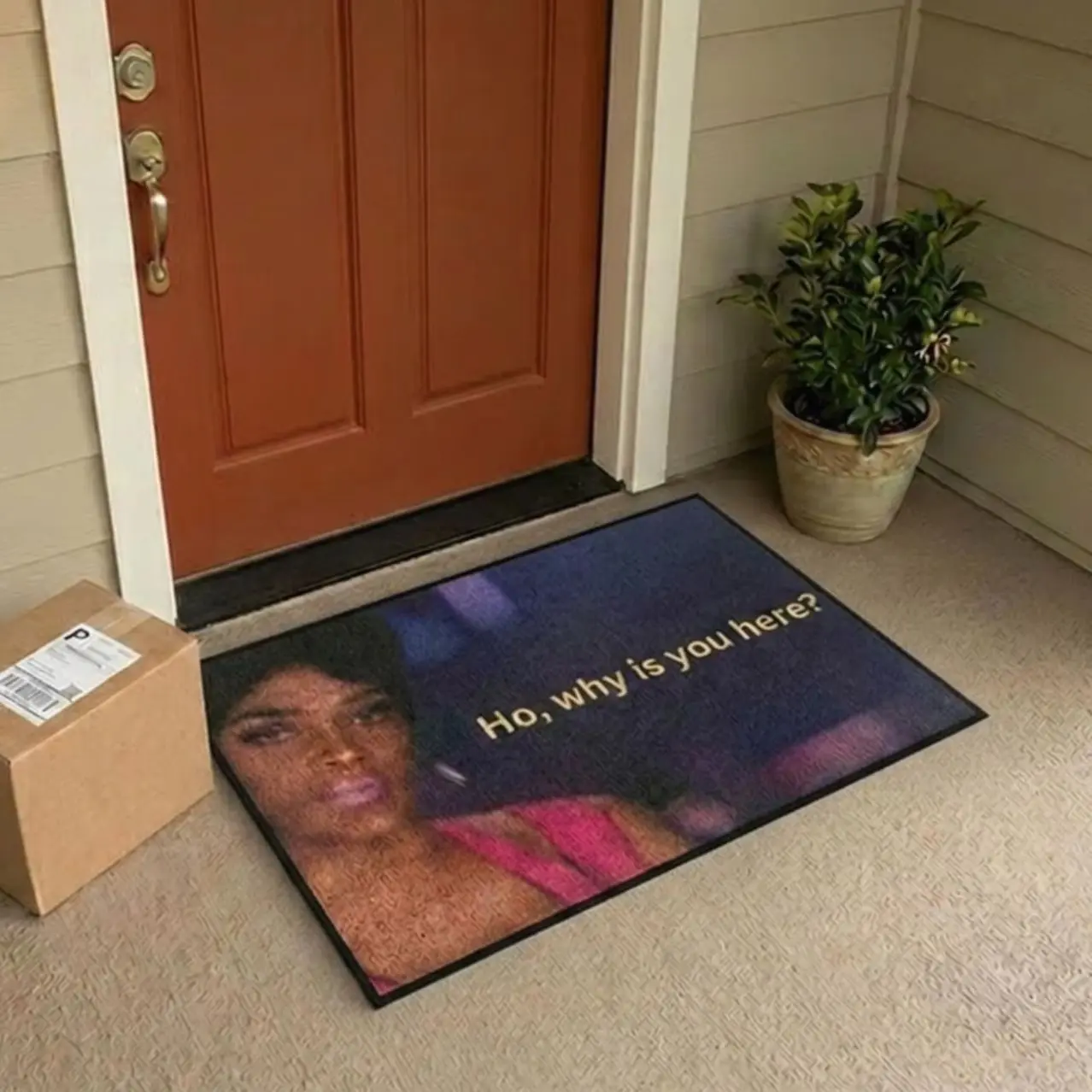 Funny Welcome Mat, “Ho Why Is You Here” Doormat, Meme Floor Mat, Joseline Inspired Rug, Housewarming Gift, Entryway Decor