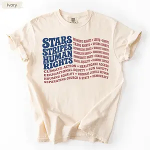 Comfort Colors Stars and Stripes and Human Rights USA Flag Shirt, Subtle Anti Trump shirt, Political Merch, Pro immigration shirt, Anti ICE shirt