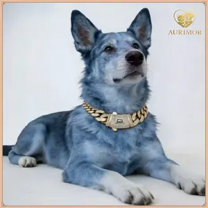 Pet Necklace for Cats & Dogs – 14K Gold-Plated Cuban Chain Collar, Durable Stainless Steel, Secure Buckle, dog accessories,Comfortable, dog productsStylish & Lightweight Pet Jewelry, Gift for Small, Medium & Large Pets, 16/18/20/22/24/26 Inch,