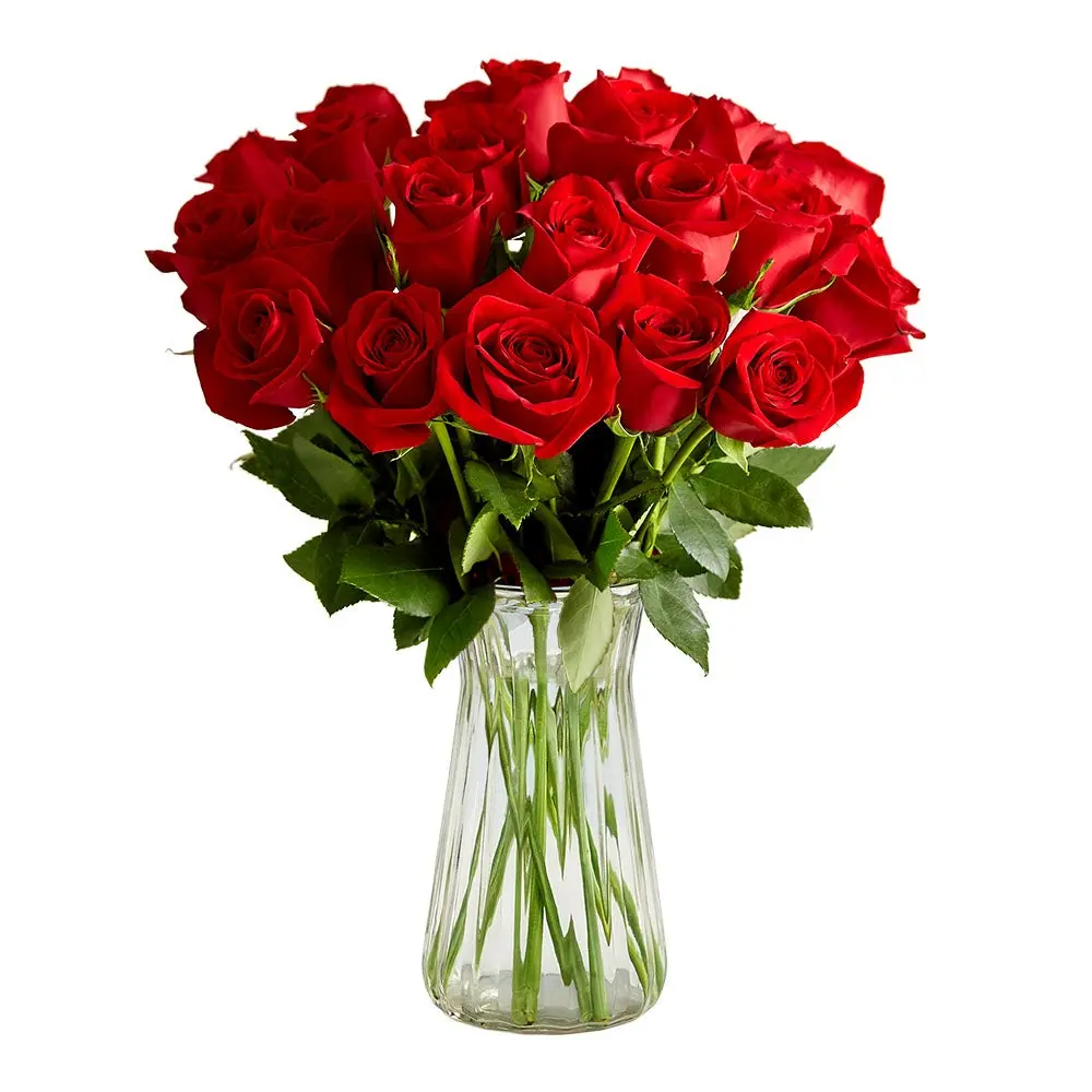 1800 Flowers - 24 Stem Red Roses Bouquet with Clear Vase, Fresh Flowers 1800 Flowers - 24 Stem Red Roses Bouquet with Clear Vase, Fresh Flowers