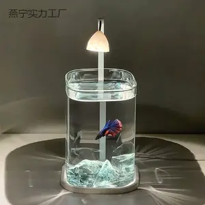 Fish Tank Night Light, 3 Gallon Fish Tank with Filter and Light, Self-Cleaning Desktop Aquarium Starter Kit & LED Lamp, 360 View for Small Fish, Kids Room & Home Decor,White